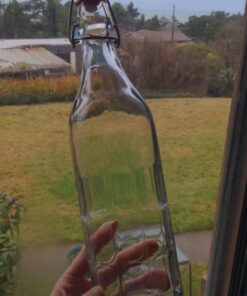 Bormioli Rocco Moresca Bottle, 33.75 oz, Clear, Twin 21 61pCJq2oCDL