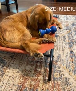 Coolaroo The Original Cooling Elevated Dog Bed, Indoor and Outdoor, Large, Terracotta 51.0"L x 31.5"W x 8.0"Th 29 61pDUPKLS4L