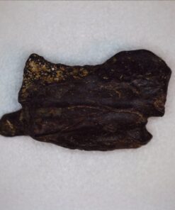 Celestron - 5 MP Digital Microscope Pro - Handheld USB Microscope Compatible with Windows PC and Mac - 20x-200x Magnification - Perfect for Stamp Collecting, Coin Collecting Handheld Digital Microscope Pro 83 61pNx74LR0L