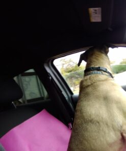 Alternative view of Wall Charger with USB Dual Charging Cable for AETERTEK Dog Training Systems,GROOVYPETS Models