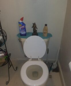 Alternative view of Saint Francis Bronze Religious Christian Catholic Statue