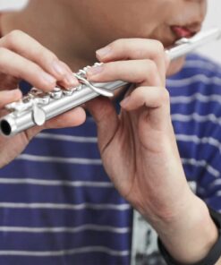 Eastar Piccolo Instrument for Beginners Students, Key of C Piccolo Flute, with Hard Case Cleaning Rod, Cloth, Swab and Gloves, 2-Piece, Silver Plated Piccolo, EPC-2S 18 61pSJiLeyIL