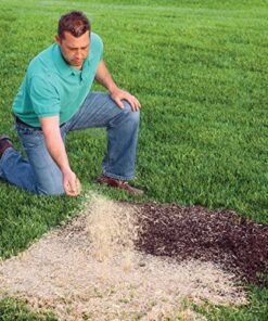 EZ Straw Seeding Mulch with Tack - Biodegradable Organic Processed Straw – 2.5 CU FT Bale (Covers up to 500 sq. ft.), Multi 27 61pTtGwQFnL