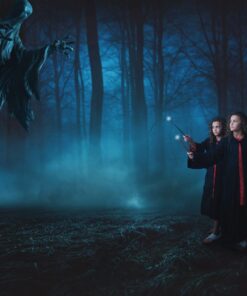 The Noble Collection Harry Potter Magical Creatures: No.7 Dementor 12 61pVRDJLvVL