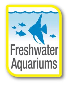 Tetra SafeStart, 3.38 Ounce, For Newly Set-Up Fish Aquariums 13 61pWsPq5JHL