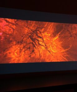 Epson Home Cinema 1040 1080p, 2x HDMI (1 MHL), 3LCD, 3000 Lumens Color and White Brightness Home Theater Projector 41 61pcBBzvU1L