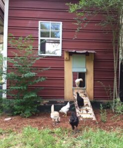 ADOR1 Automatic Chicken Coop Door, Complete with Battery 44 61pcmRL2nOL