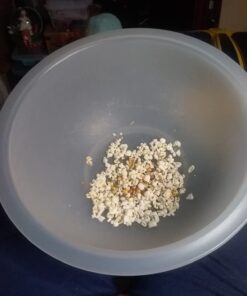 Presto 04821 Orville Redenbacher's Hot Air Popper, 1 Liters, White 24 61pgxosShL