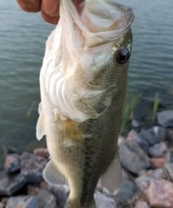 Entsport E Series - Camo Legend 2-Piece 7-Feet Casting Rod 24 Ton Carbon Fiber Baitcasting with 2 Tips - Medium and Medium Heavy Portable Bass Fishing Rod Baitcaster 45 61piodvtJsL