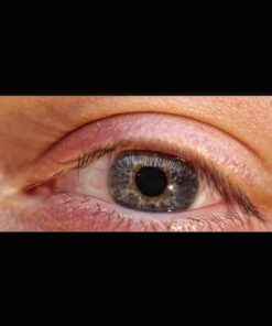 OM SYSTEM OLYMPUS M.Zuiko Digital ED 30mm F3.5 Macro For Micro Four Thirds System Camera, Compact Macro lens, 1.25x Image Maginification, Fast AF, Beautiful Bokeh Base 30 61pjnRgFOVL