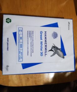 Hammermill Printer Paper, Great White 30% Recycled Paper, 8.5 x 11 - 1 Ream (500 Sheets) - 92 Bright, Made in the USA, 086710 1 Ream | 500 Sheets Letter (8.5x11) 29 61pq5gWAZBL