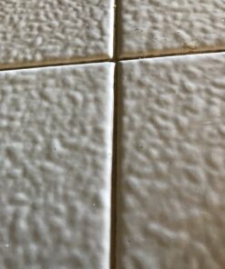 Chevron 65740 Techron Concentrate Plus Fuel System Cleaner, 20 Fl-Ounce 20 Fl Oz (Pack of 1) 20 oz. 27 61pvGM0cQgL