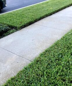 BLACK+DECKER Edger & Trencher, 2-in-1, 12-Amp (LE750) 41 61q48QpKgUL