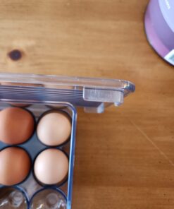 iDesign Plastic Egg Holder for Refrigerator with Handle and Lid, Fridge Storage Organizer for Kitchen, Set of 1, Clear 43 61q5OBdxj8L