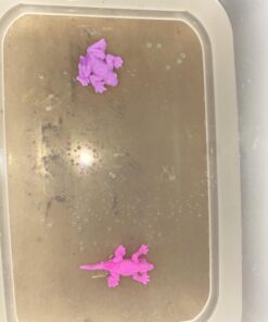 Funlop 24 Pack Sensory Jelly Water Growing Sea Life Creatures Animals, Amazing, Fun, Educational, Learning Toy for Children Boys and Girls (24 Assorted Sea Creatures and Colors) 29 61q8oAeRfGL