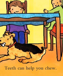 Teeth Are Not for Biting (Board Book) (Best Behavior Series) 19 61q9TlkyFIL
