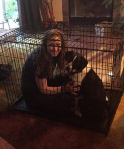 MidWest Homes for Pets Large Dog Crate | MidWest Life Stages Double Door Folding Metal Crate | Divider Panel, Floor Protecting Feet, Leak-Proof Pan | 42L x 28W x 31H Inches For Large Dog Breed 42.0"L x 28.0"W x 30.0"H Lifestages; Double Door 59 61qHLYw4oL