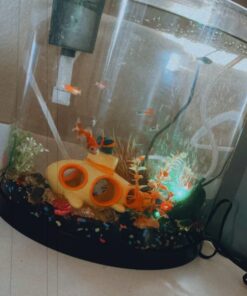 Tetra ColorFusion Starter aquarium Kit 3 Gallons, Half-Moon Shape, With Bubbler And Color-Changing Light Disc 68 61qHpUtuExL