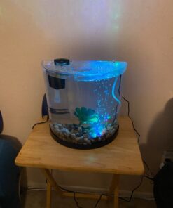 Tetra ColorFusion Starter aquarium Kit 3 Gallons, Half-Moon Shape, With Bubbler And Color-Changing Light Disc 64 61qUygWofGL