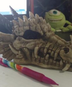 Snarling Magical Dragon Skull Treasure Trinket Box 39 61qcIRvZZtL