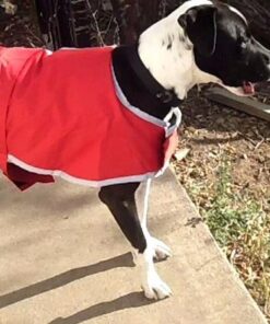 Zack & Zoey Nor'Easter Blanket Coat, X-Large, Red 1 46 61qkoZFYd L 2