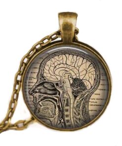 Anatomical brain necklace,human brain anatomy pendant , neurologist necklace, biology , medical student ,neurology pendant