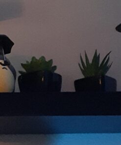 MyGift Set of 3 Faux Succulents in Mini Square Pots - Modern Home Decor Succulent Artificial Plants with Black Ceramic Planter Pot 31 61qxbsGuhNL