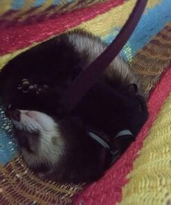 Hammocks Rada Mayan-Made Matrimonial Yucatan Hammock - Two Person Hammock - Artisan Crafted in Central America - Fits 12.5 to 13 Feet Hammock Stand - Up to 550 Pounds, Tropical Multicolor Multi Color 32 61qyHT1ew8L