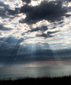 SanDisk 64GB Extreme PRO SDXC UHS-I Memory Card (SDSDXXG-064G-GN4IN) 26 61qzinDHZWL