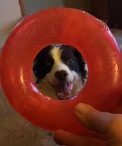 KONG - Squeezz® Ring - Strong Squeaky Dog Toy, bounces and squeaks even if punctured - For Large Dogs (Assorted Colors) 20 61r7OE5U4L