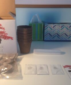 Plant Theatre Bonsai Tree Kit - Indoor Plant Growing Kit w/ 3 Mini Bonsai Seed Packs, 6 Pots, 6 Peat Discs and 6 Propagator Bags - Gardening Gifts for Men, Women and Room Decor - Crafts for Adults 54 61r7jko5JNL