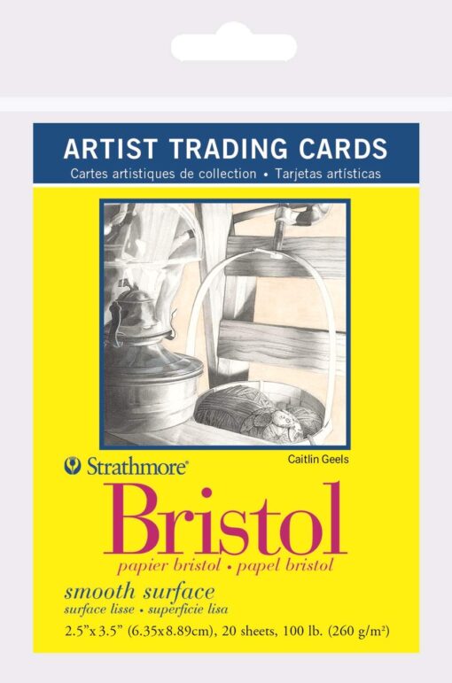 Strathmore 300 Series Bristol Artist Trading Cards, Smooth Surface, 20 Sheets 20 Count (Pack of 1) Bristol Smooth