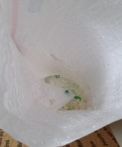 Crystal Red Shrimp SS Grade Live Freshwater Aquarium Shrimp - 1/4 to 1/2 inch Long (5 Shrimp) 5 Shrimp 19 61rCPb4lOL