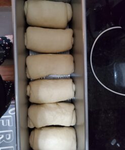 Brod & Taylor Folding Proofer & Slow Cooker (Proofer) 40 61rOrEBahyL