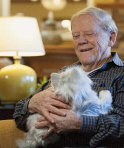 JOY FOR ALL - Silver Cat with White Mitts - Interactive Companion Pets - Realistic & Lifelike 17 61reeVy60rL