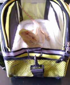 Paws & Pals Airline Approved Pet Carrier - Soft-Sided Carriers for Small Medium Cats and Dogs Air-Plane Travel On-Board Under Seat Carrying Bag with Fleece Bolster Bed for Kitten Cat Puppy Dog Taxi Green 44 61ro27J4hHL