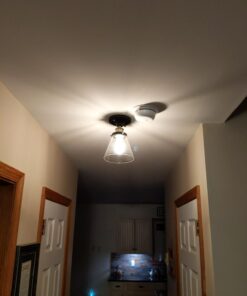 Globe Electric 65380 1-Light Flush Mount Ceiling Light, Dark Bronze, Satin Finish, Antique Brass Accents, Clear Glass Shade, Ceiling Light Fixture, E26 Bulb, Bulb Not Included Dark Bronze with Clear Glass 44 61rucW56jbL