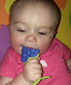 Innobaby Original Teethin Smart EZ Grip Fruit Teether and Sensory Toy for Babies and Toddlers in Grape. BPA Free Teether 21 61ryONntIkL