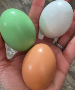 SallyFashion 7 Pcs Wooden Fake Eggs, 3 Colors Wooden Easter Egg Wood Eggs for Crafts Fake Chicken Eggs Nesting Eggs Easter Home Decor 37 61s5aoC36zL