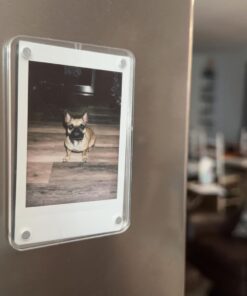 Fujifilm Instax Mini Instant Film Twin Pack (White), 20 photos White 17 61s9jD2RnCL