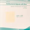 Silver Alginate (Antibacterial Alginate with Silver) 4.25"x4.25" Sterile; 5 Wound Dressings Per Box (1) (4.25" X 4.25") (1) Areza Medical 1 30 61sCXEe2XkL