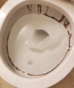 Powerstone Pumice Stone Toilet Bowl Cleaner with Handle (1-pack) - A Solution for Hard Water Stains on Toilets, Grills, Tiles, Grout & Pools Pack of 1 44 61sRhlI5hrL