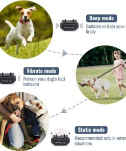 Alternative view of Petrainer PET998DB1 330 Yards Rechargeable and Waterproof Dog Training Collar with Safe Beep, Vibration and Shock Electronic Electric Collar