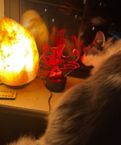 Christmas Gift Pet Cat 3D Illusion Birthday Present Beside Table Lamp, Gawell 16 Colors Changing Touch Switch Decoration Night Lamp with Remote Control Cat Lover Theme Toy 19 61saQ9nDTaL