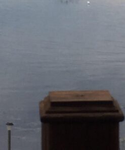 Jenlis The Original Weed Razer, Lake Weed Cutter, Large Pond Aquatic Plant Cutting Tool, Long and Sharp Razor Blades Shear Cattail, Reed, Lilly & Chara Algae, 48 Inch Cut Width, 25 Foot Throw Rope 43 61sc54mAFlL 2