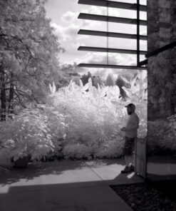 Rokinon 14mm f/2.8 IF ED UMC Ultra Wide Angle Fixed Lens w/ Built-in AE Chip for Nikon 46 61sidV5j1CL