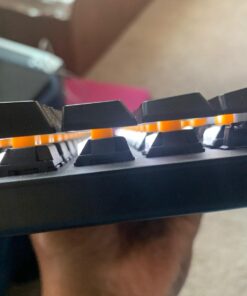 Razer BlackWidow Lite TKL Tenkeyless Mechanical Keyboard : Orange Key Switches - Tactile & Silent - White Individual Key Lighting - Compact Design - Detachable Cable - Classic Black Orange Switches - Tactile & Silent 36 61snPe7MOQL