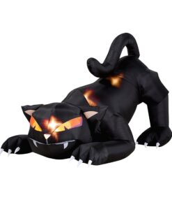 Sunstar Industries 23623G Airblown Animated Cat 11 61sxTpFI1sL