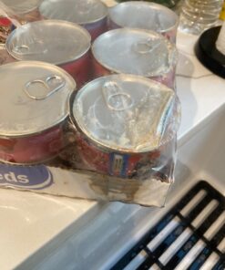 Purina Friskies Wet Cat Food, Shreds With Salmon in Sauce - (24) 5.5 oz. Cans 5.5 Ounce (Pack of 24) 44 61t1gg mnYL