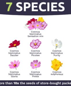 Cosmos Seeds Wildflower Mixture - Bulk 1 Ounce Packet - Over 5,000 Seeds - Pink, Yellow, Orange, Red, Purple and White Mixed Species! 1 Ounce Pouch 32 61t5D7iiLL